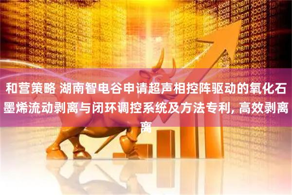 和营策略 湖南智电谷申请超声相控阵驱动的氧化石墨烯流动剥离与闭环调控系统及方法专利, 高效剥离